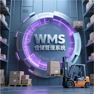 WMS倉儲(chǔ)管理系統(tǒng)
